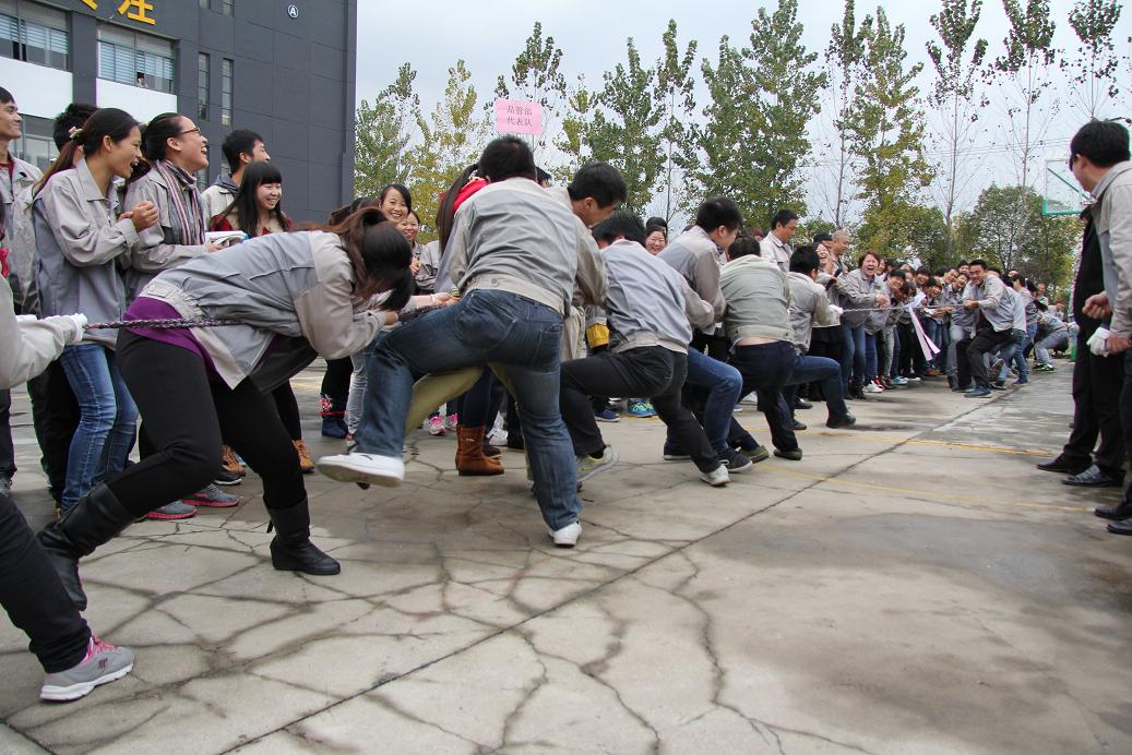 99499威尼斯(中国)有限公司首页